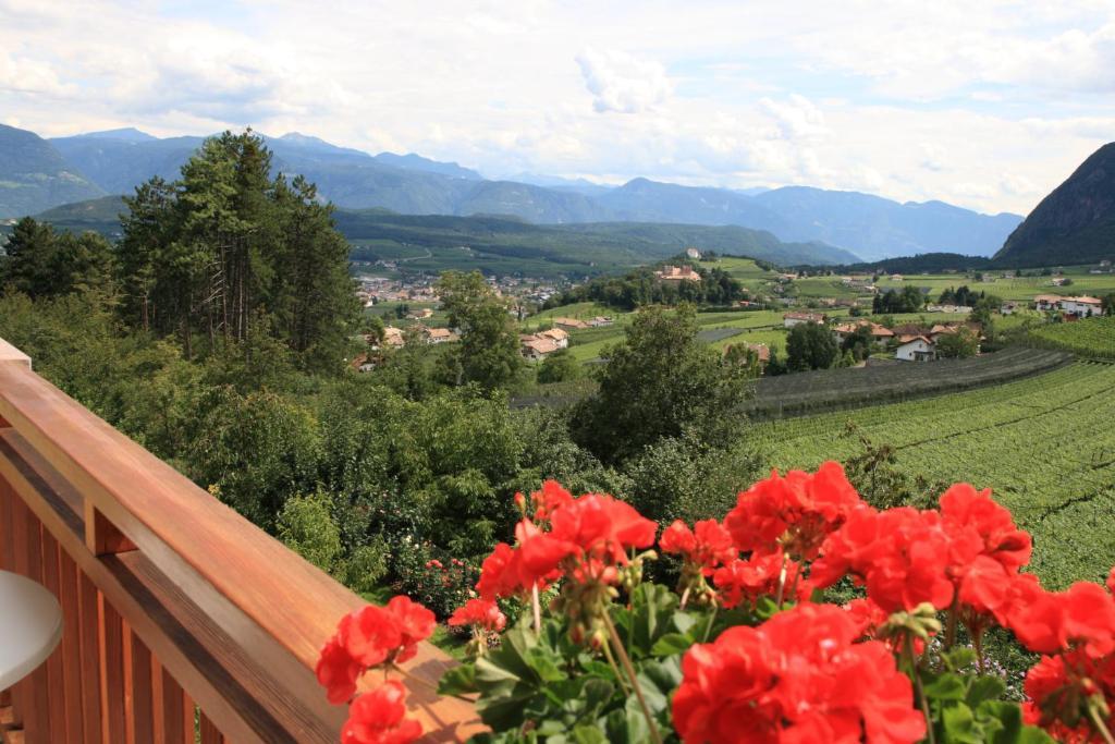Kreuzstein Bed&Breakfast Appiano Sulla Strada Del Vino Pokoj fotografie